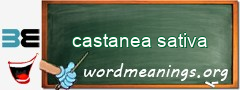 WordMeaning blackboard for castanea sativa